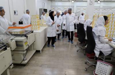 اعضا هیات مدیره هلدینگ آینده پویا از شرکت داروسازی "کیمیدارو" بازدید کردند